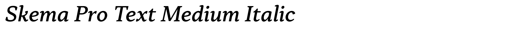Skema Pro Text Medium Italic image